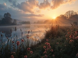 Kwiaty, Jezioro, Promienie słońca, Grafika AI