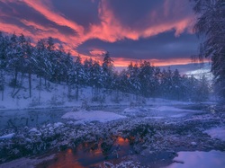 Chmury, Drzewa, Las, Gmina Ringerike, Norwegia, Jezioro, Zima, Wschód słońca