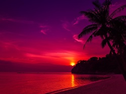 Słońca, Palmy, Plaża, Wybrzeże, Zachód