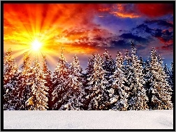 Słońca, Śnieg, Zima, Promienie, Zachód, Świerki