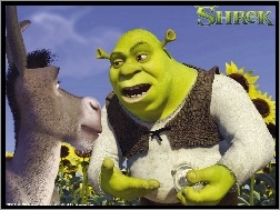 słoneczniki, osioł, Shrek 1, Shrek