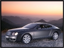 Słupka, Bentley Continental GT, Brak
