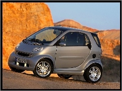 Szary, Smart Fortwo