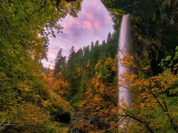 South Falls, Jesień, Drzewa, Las, Park stanowy Silver Falls, Stan Oregon, Stany Zjednoczone, Skały, Wodospad, Roślinność