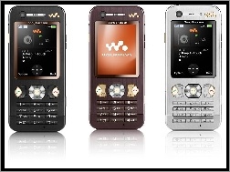 Srebrny, Czarny, Sony Ericsson W880i, Brązowy