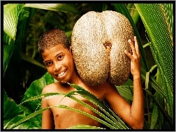 Srilanka, Orzech, Chłopiec, Kokosowy