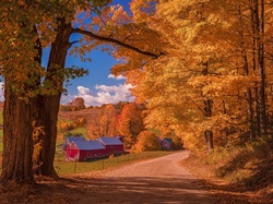 Droga, Farma Jenne Farm, Stan Vermont, Stany Zjednoczone, Domy, Stodoły, Jesień, Wieś Reading, Drzewa