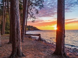 Superior Lake, Marquette, Las, Stany Zjednoczone, Zachód słońca, Drzewa, Stan Michigan, Jezioro