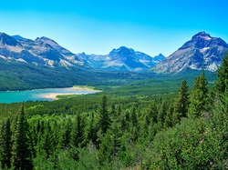 Stan Montana, Jezioro Saint Mary Lake, Drzewa, Park Narodowy Glacier, Stany Zjednoczone, Góry