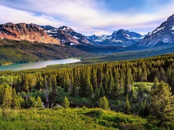 Stan Montana, Jezioro Two Medicine Lake, Drzewa, Park Narodowy Glacier, Stany Zjednoczone, Góry