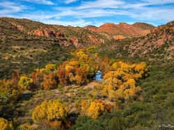 Stany Zjednoczone, Kanion Sycamore, Rzeka, Jesień, Drzewa, Góry, Arizona