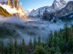 Stany Zjednoczone, Park Narodowy Yosemite, Stan Kalifornia, Mgła, Lasy, Dolina Yosemite Valley, Góry