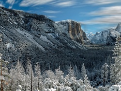 Stany Zjednoczone, Zima, Stan Kalifornia, Dolina Yosemite Valley, Góry, Park Narodowy Yosemite, Drzewa