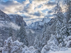 Stany Zjednoczone, Zima, Stan Kalifornia, Drzewa, Góry Sierra Nevada, Park Narodowy Yosemite, Chmury