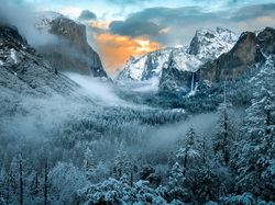 Góry, Śnieg, Park Narodowy Yosemite, Zima, Stany Zjednoczone, Kalifornia, Mgła, Drzewa