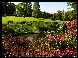 Kwiaty Staw, Park Hampstead Heath, Londyn, Anglia, Ławki