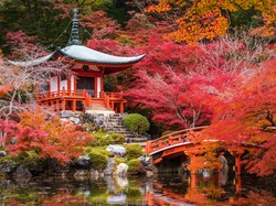 Staw, Kioto, Kompleks świątynny Daigo-ji, Jesień, Drzewa Kamienie, Świątynia Benten-dō, Japonia, Mostek