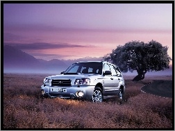2004, Subaru, Forester