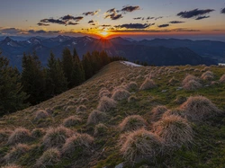 Sucha, Las, Trawa, Góry, Zachód słońca, Chmury, Drzewa, Kępki