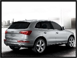 Quattro, Audi Q5, SUV