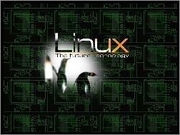 System, Linux