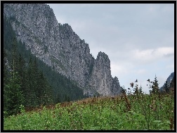 Szczyty, Tatry, Dolina Kościeliska