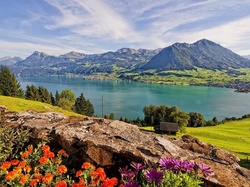 Szwajcaria, Jezioro, Gory, Panorama