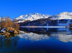Odbicie, Szwajcaria, Drzewa, Góry, Zima, Jezioro Bergsee, Wyspa