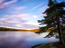 Jesień, Szwecja, Jezioro Källtorpssjön, Drzewa