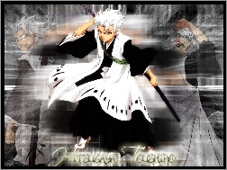 Taishiao, Bleach