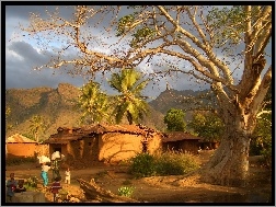 Tanzania, Drzewo, Wioska, Góry, Mieszkańcy