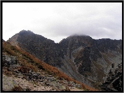 Rochacz, Tatry, Zachodnie