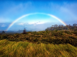 Łąka, Park Narodowy Haleakalā, Wyspa Maui, Hawaje, Tęcza