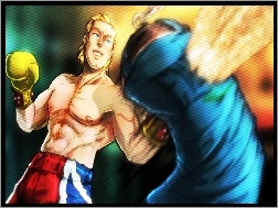 Tekken Tag Tournament 2, Steve Fox