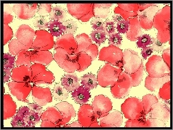 Tekstura, Bordowe, Czerwono, Kwiaty