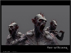The Witcher, kolce, potwór, kły