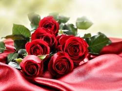 Tkanina, Bukiet, Czerwone Róże