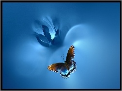 Tło, Motyl, Kwiat, Niebieskie