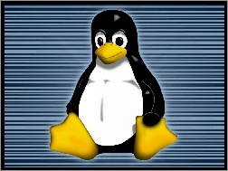 Tło, Pingwinek, Linux, Niebieskie