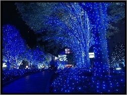 Święta, Tokio, Japonia