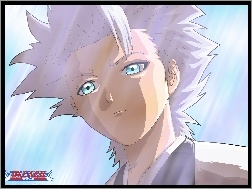 Kapitan, Toshiro Hitsugaya