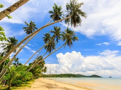 Chmury, Palmy, Tajlandia, Wyspa Ko Mak, Plaża, Morze, Prowincja Trat