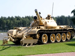 Trawa, T-55, Czołg, Drzewa