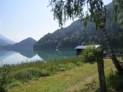 Las, Jezioro Hintersteinersee, Przystań, Drzewa, Tyrol, Austria, Brzoza, Góry, Trawa