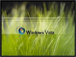 Trawa, Vista, Windows, Logo, Zielona