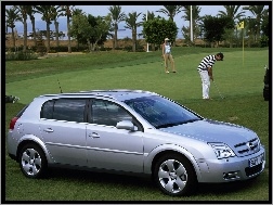 Trawa, Opel Signum, Golf