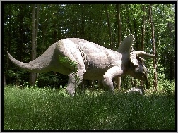 Trawa, Triceratops, Las
