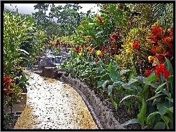 Tropikalny, Ogród