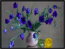 Tulipan, Kwiaty, Niebieskie, Żółty