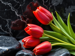 Tło, Tulipany, Czerwone, Marmurowe, Kamienie